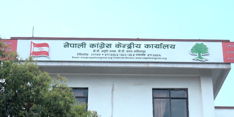 कांग्रेस नीति प्रतिष्ठानमा ८ सदस्य मनोनित