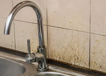 किचेनको भित्ता फोहोर भयो, त्यसो भए चुटकीमा संकटवाट मुक्ति पाउनुहोस