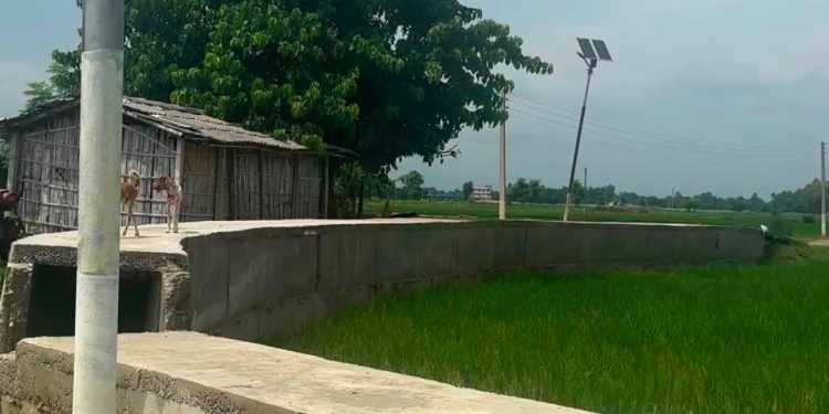 ढल निर्माणमा मोडेल बन्दै मौलापुर नगरपालिका