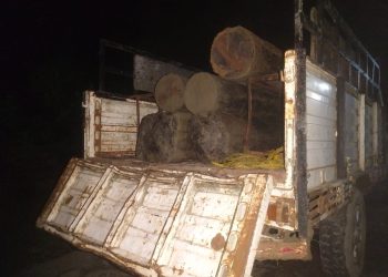 रातको अँध्यारोमा लालबकैया खोलाबाट काठ तस्करीको प्रयास, २७ क्युबिक फिट साल बरामद