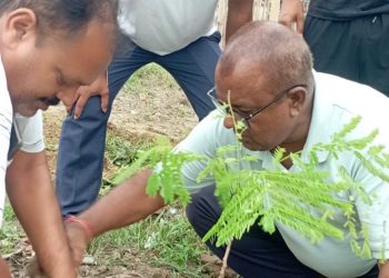 जलवायु परिवर्तनका प्रभाव कम गर्न जनकपुरधाममा वृक्षारोपण