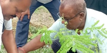 जलवायु परिवर्तनका प्रभाव कम गर्न जनकपुरधाममा वृक्षारोपण