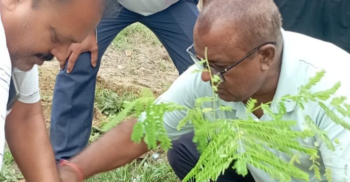 जलवायु परिवर्तनका प्रभाव कम गर्न जनकपुरधाममा वृक्षारोपण