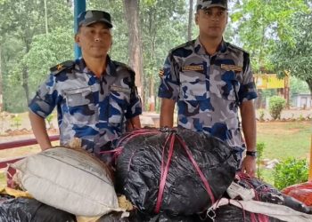 कटारीबाट १३० किलो गाँजा बरामद, ओसारपसारमा संलग्न फरार