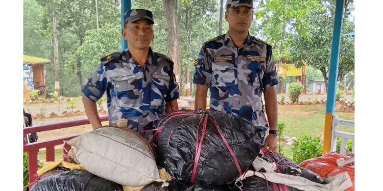 कटारीबाट १३० किलो गाँजा बरामद, ओसारपसारमा संलग्न फरार