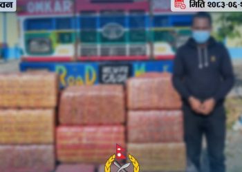 १३६ किलो गाँजासहित ट्रक र चालक पक्राउ
