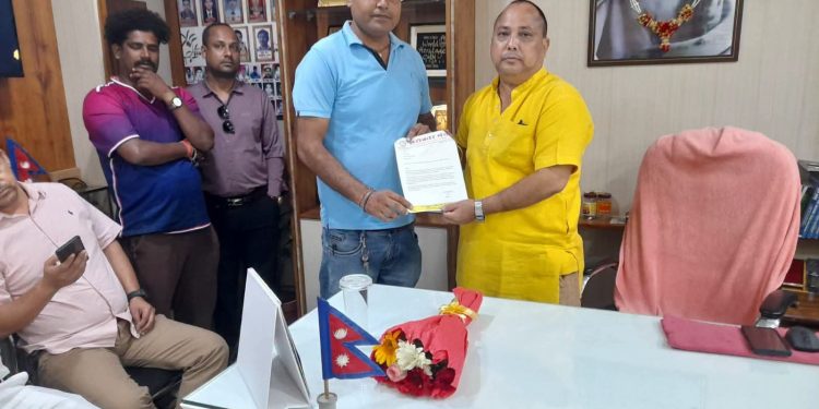 मैत्री पुलमा ई-रिक्साको मनपरी पार्किङले सास्ती, व्यवस्थापन गर्न सरोकार मञ्चको दबाब