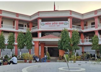 जैनबको निधनपछि एमालेले नाजमालाई बनायो प्रदेश सांसद